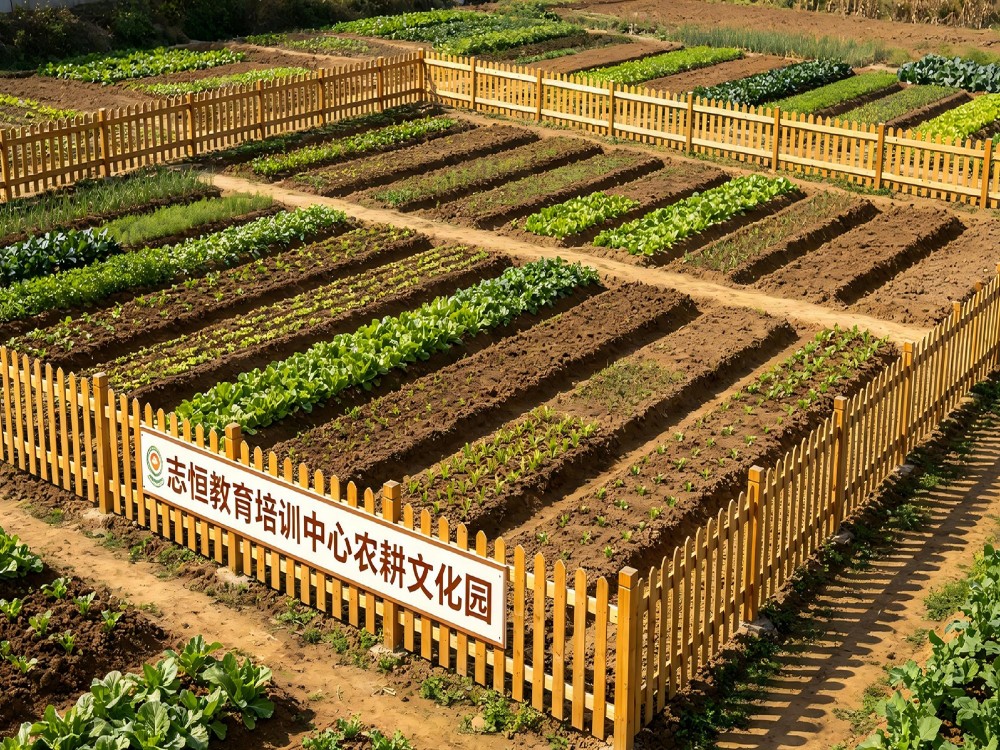 2026年近期泉州叛逆孩子管教学校推荐这几家值得家长重点关注